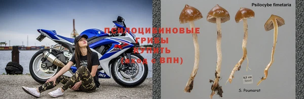дживик Алексин
