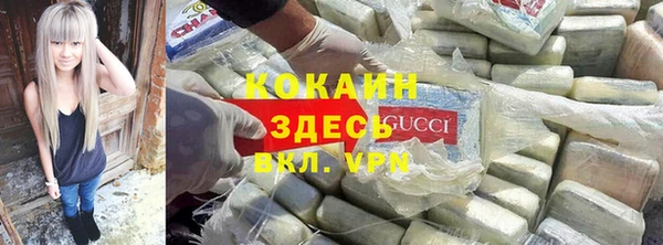 дживик Алексин