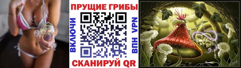 OMG ONION  Сасово  Псилоцибиновые грибы Cubensis 